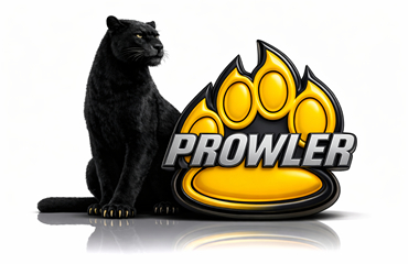 Replacement Tracks For Chinese Excavator and Mini Skids